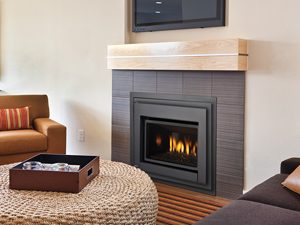E18E Gas Insert