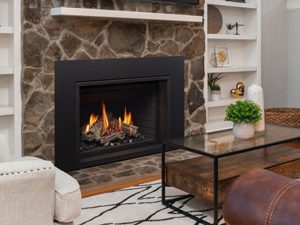 Gi33LE Gas Insert