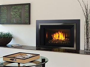 HRI6E Gas Insert