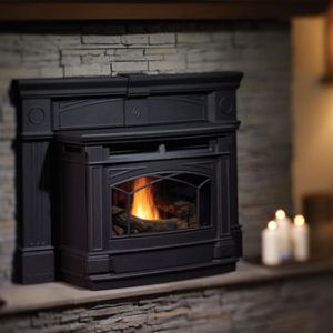 GCi60 Pellet Insert