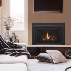 Provident Indoor Gas Fireplace Insert