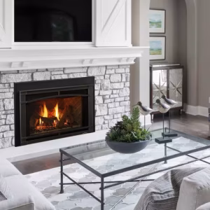 Supreme Fireplace Insert